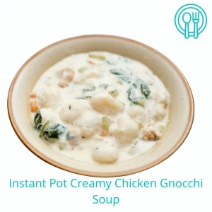 instant pot chicken gnocchi soup_result